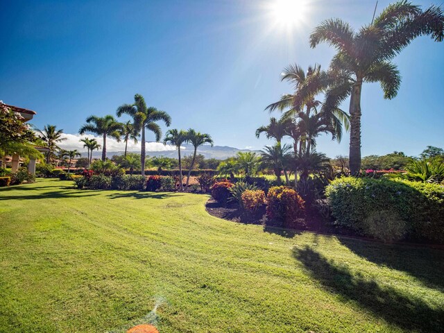 1699 Hihimanu St Unit 11, Kihei, HI 96753