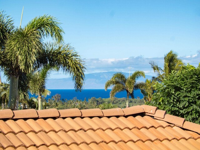 1699 Hihimanu St Unit 11, Kihei, HI 96753
