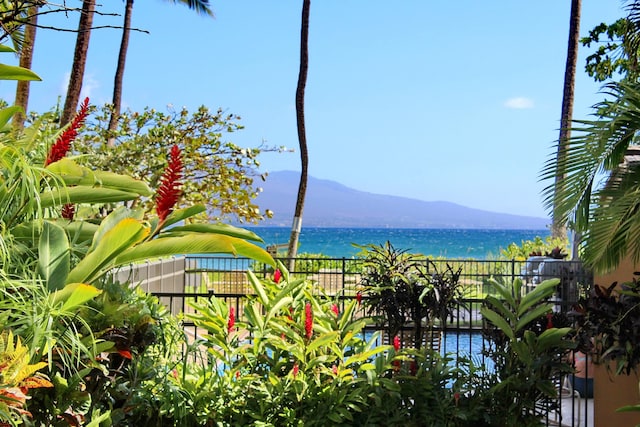 property view of water with a mountain view