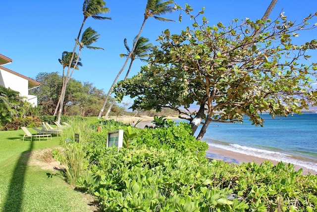 property view of water featuring a beach view