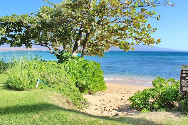 water view featuring a view of the beach