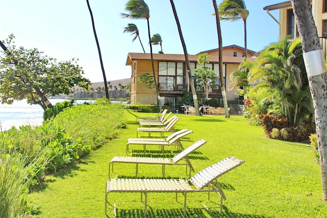 view of property's community with a yard