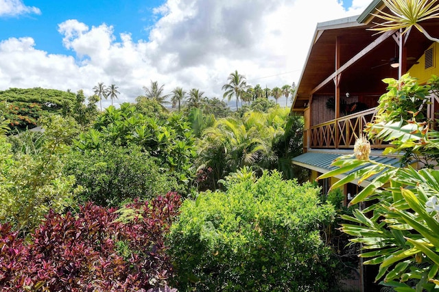 679 Kaapuni Pl, Kihei, HI 96753 - view of yard featuring ceiling fan