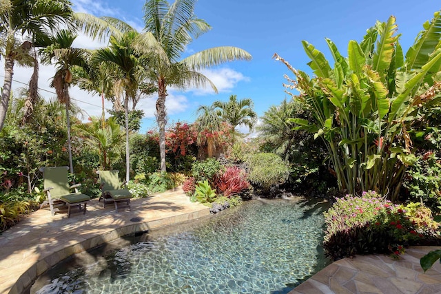 679 Kaapuni Pl, Kihei, HI 96753 - view of pool with a jacuzzi and a patio area