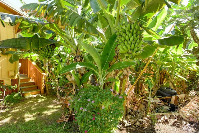 679 Kaapuni Pl, Kihei, HI 96753 - view of yard with stairway