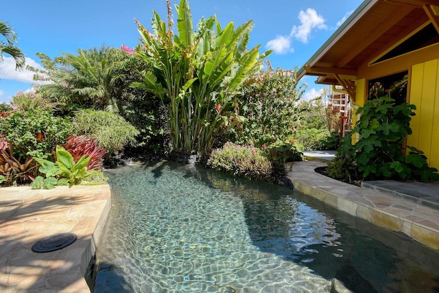 679 Kaapuni Pl, Kihei, HI 96753 - outdoor pool with a small pond