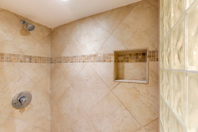 interior details with tiled shower