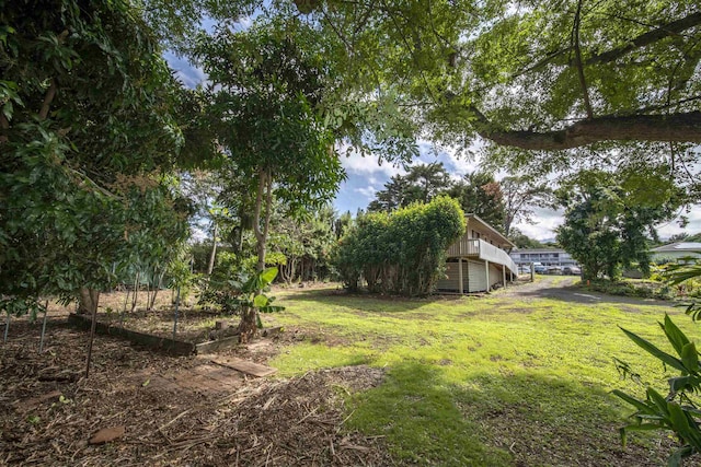 view of yard featuring a deck