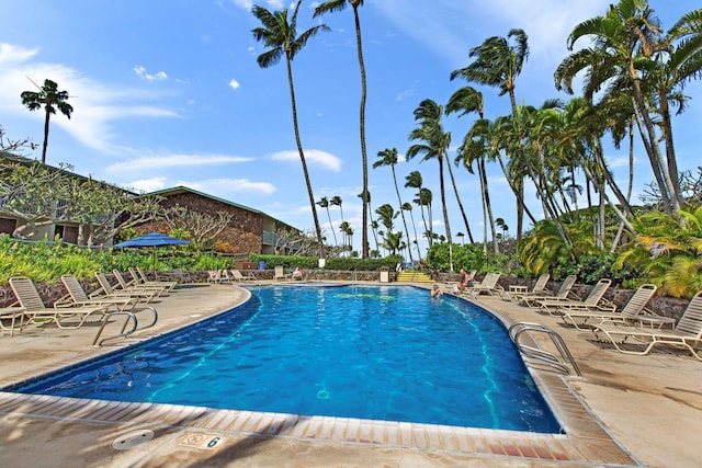 view of pool with a patio area