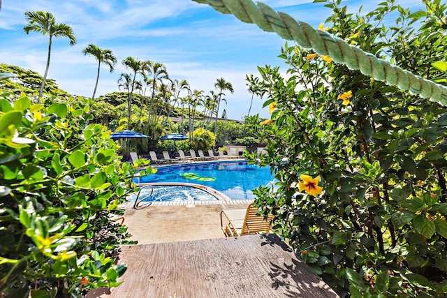 view of pool featuring a patio area