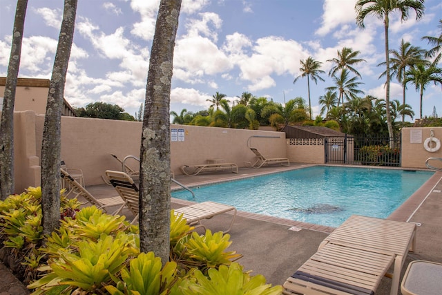 view of swimming pool with a patio