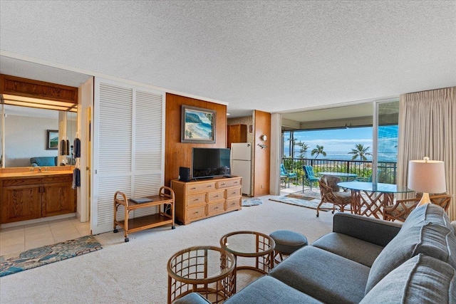 living room featuring sink, wooden walls, light carpet, and a textured ceiling