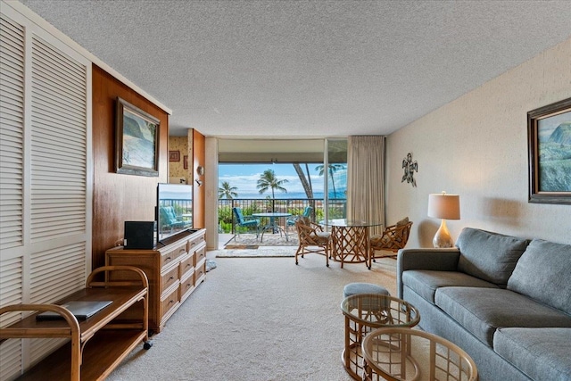 living room with a textured ceiling and light colored carpet