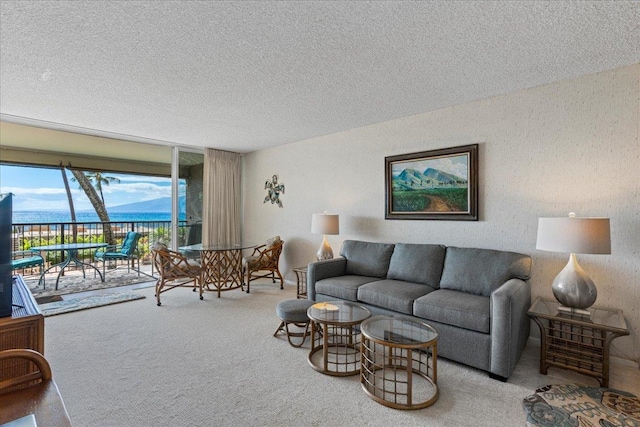 living room with a textured ceiling and light carpet