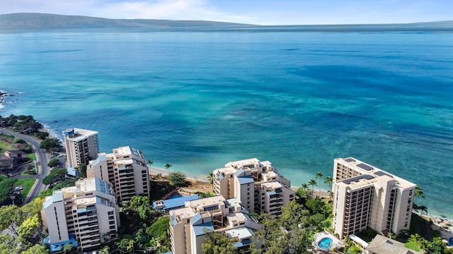 birds eye view of property with a water and mountain view