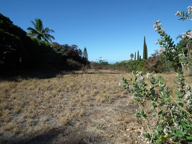 769 Kumulani Dr, Kihei HI, 96753 land for sale