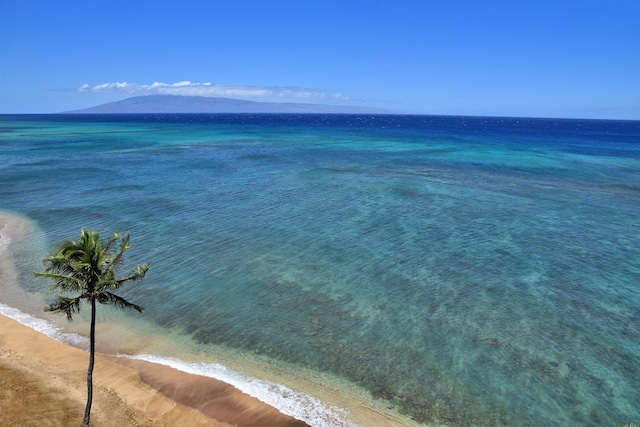 water view with a beach view