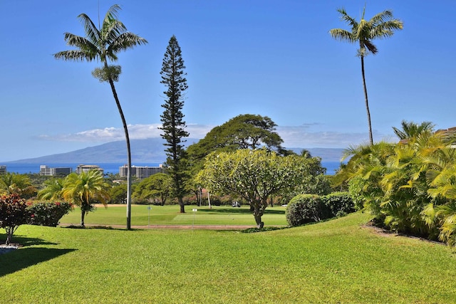 view of home's community featuring a lawn and a mountain view