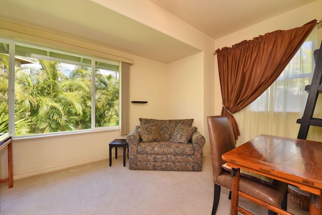 carpeted home office featuring baseboards