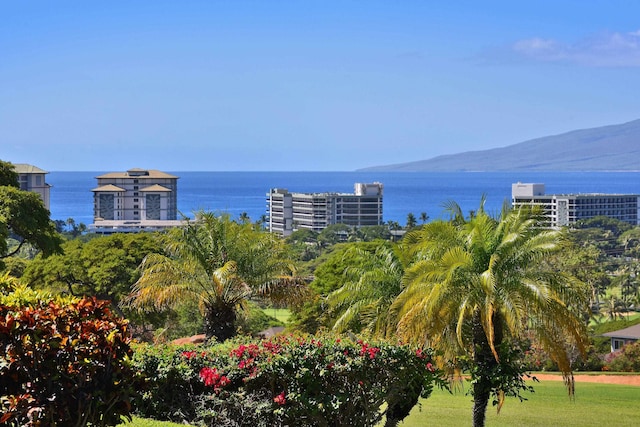 property view of water with a mountain view