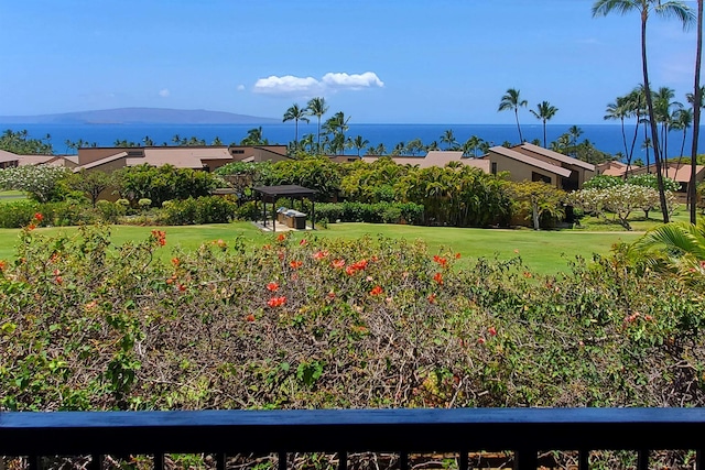 view of home's community featuring a yard