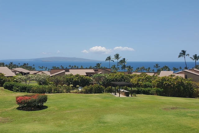 view of home's community featuring a yard