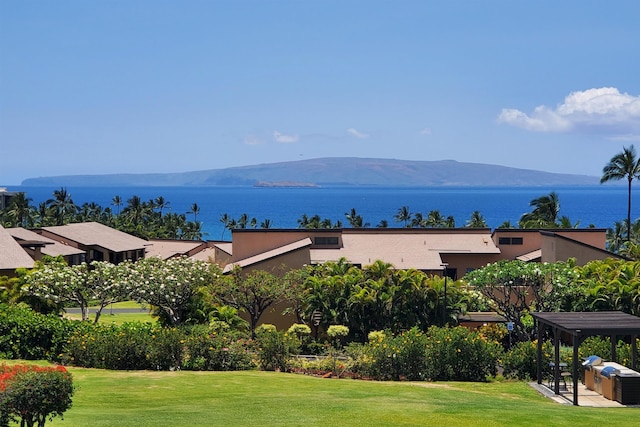 water view featuring a mountain view