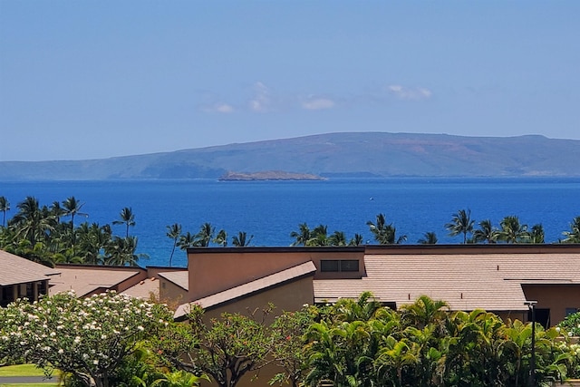 water view with a mountain view