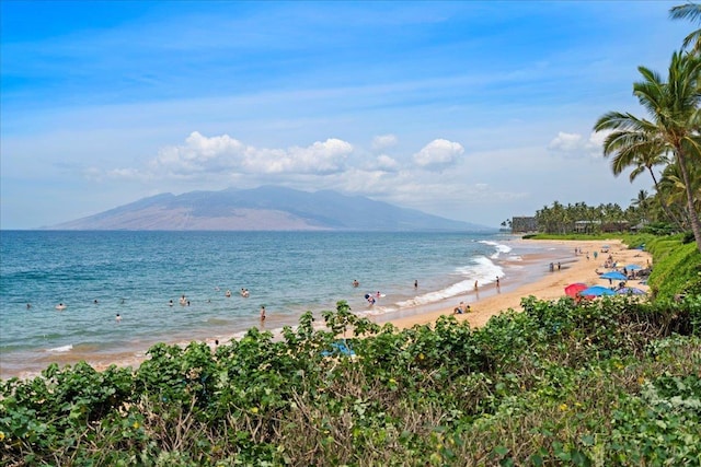 water view featuring a beach view and a mountain view
