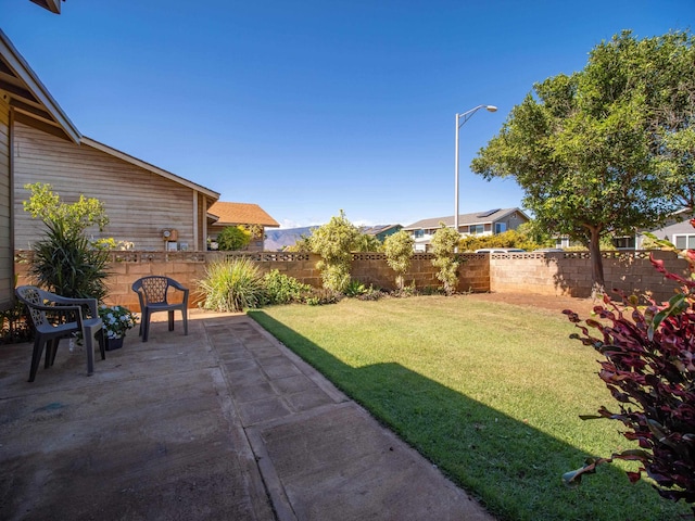 view of yard with a patio area