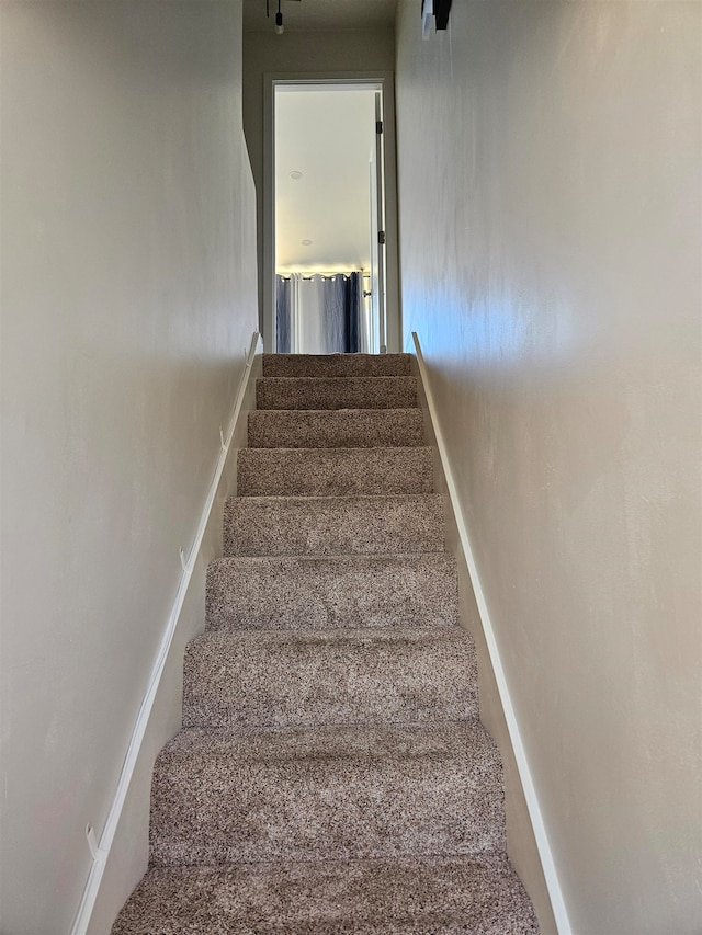 staircase with carpet