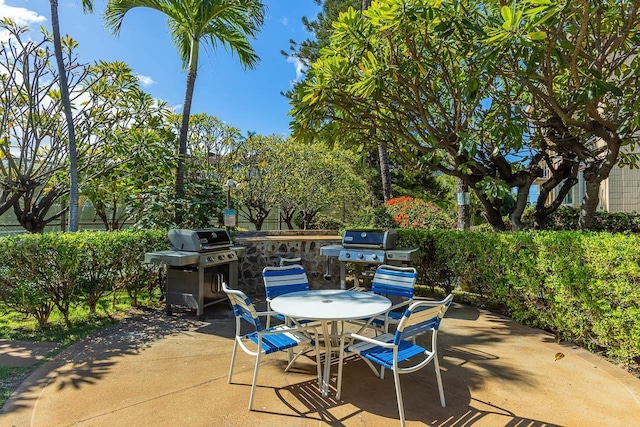 view of patio / terrace featuring area for grilling