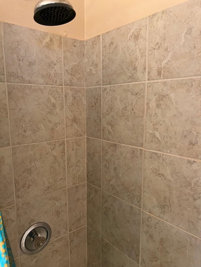 details with a tile shower