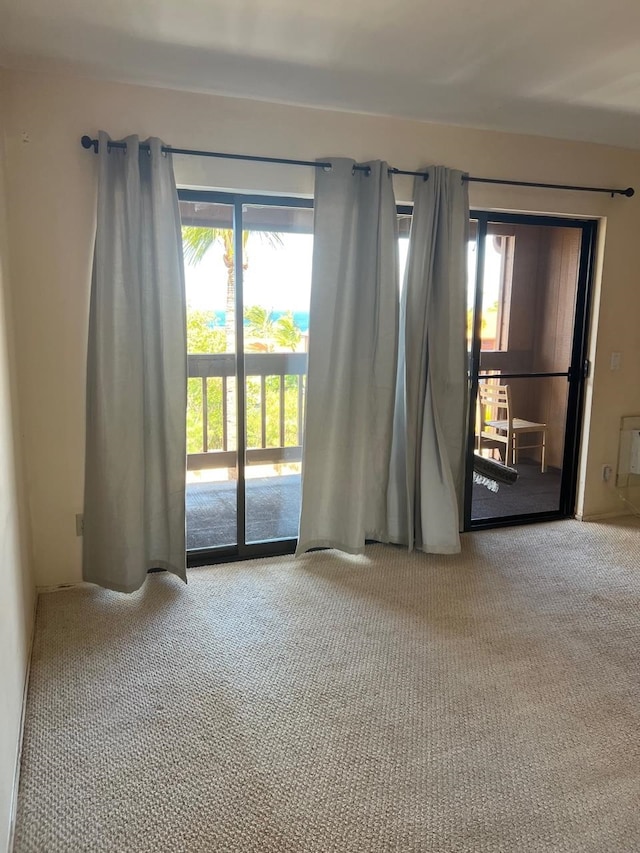 carpeted spare room with a wealth of natural light