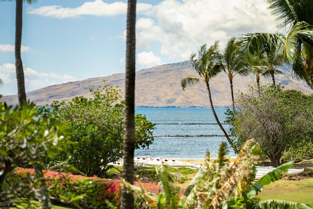 property view of water featuring a mountain view