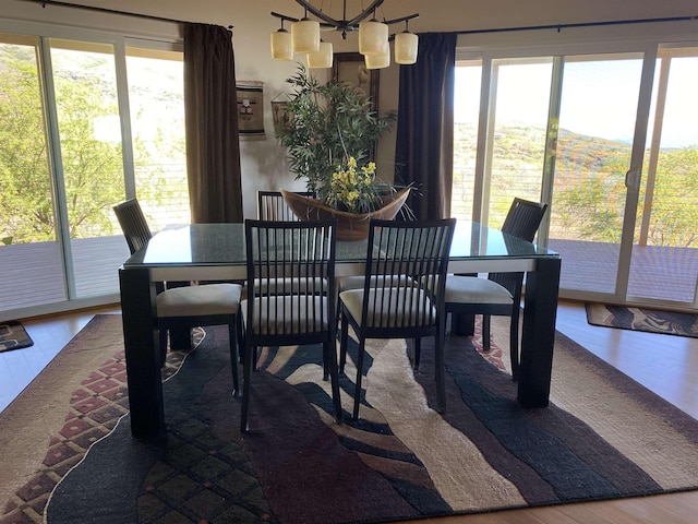 dining area with wood-type flooring