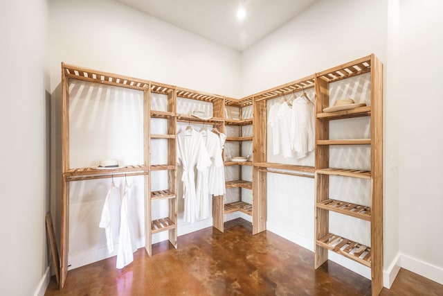 view of walk in closet