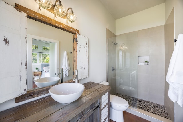 bathroom featuring vanity, toilet, and walk in shower