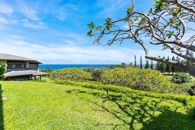 view of yard with a water view