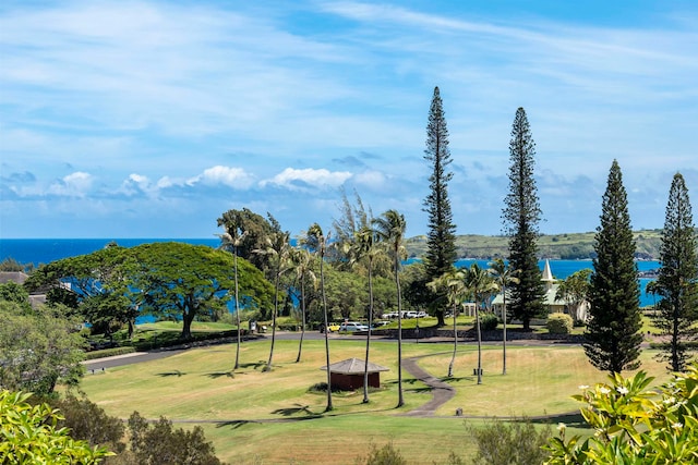 view of property's community with a lawn and a water view