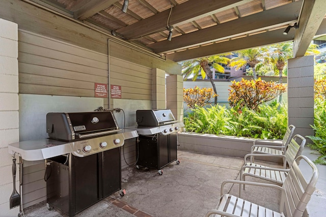 view of patio / terrace with area for grilling