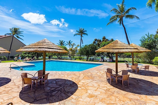 view of swimming pool with a patio