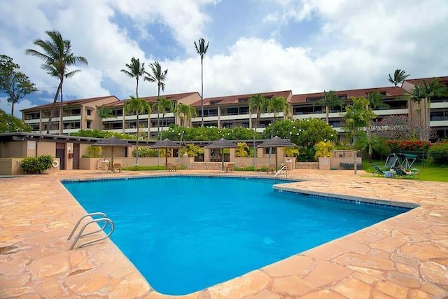 view of pool with a patio area