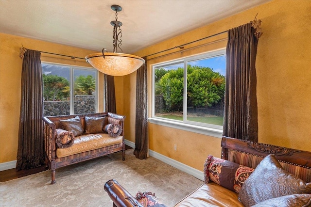 living area featuring carpet floors