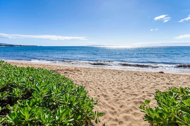 property view of water with a beach view