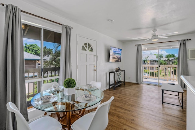 dining room featuring ceiling fan and hardwood / wood-style floors