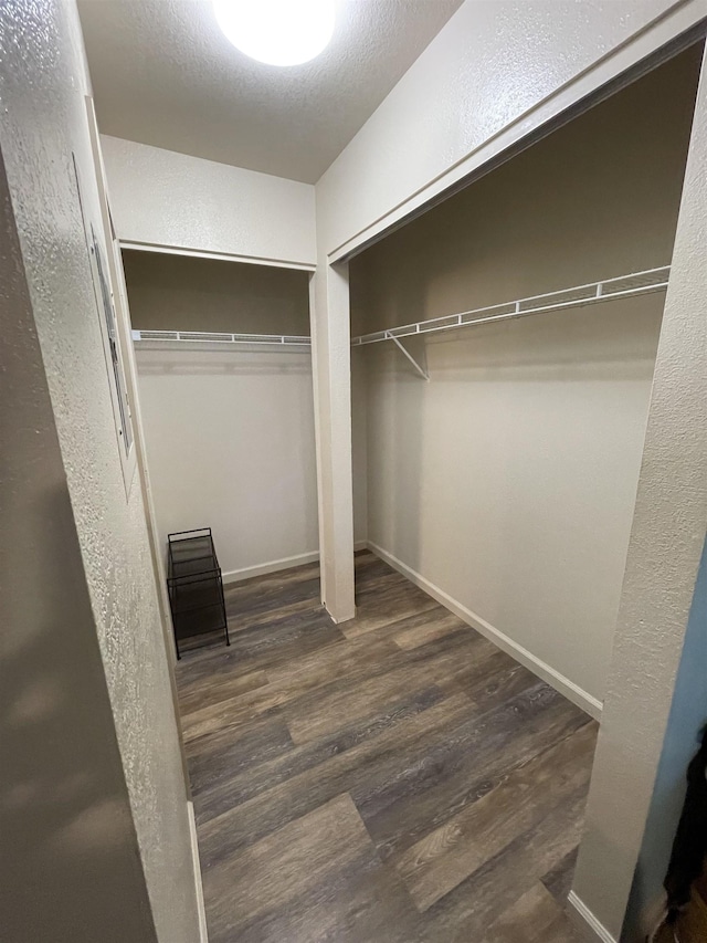 spacious closet with dark wood-type flooring