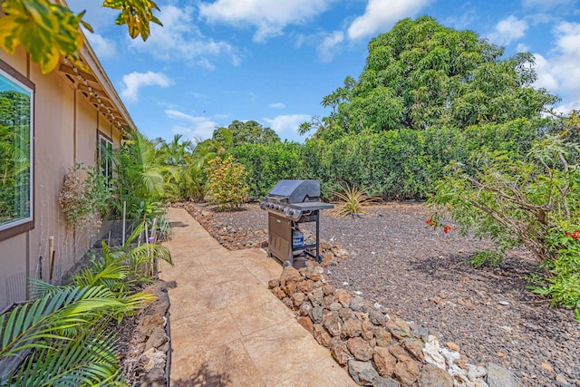 view of yard featuring a patio