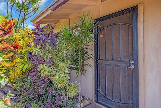 view of property entrance