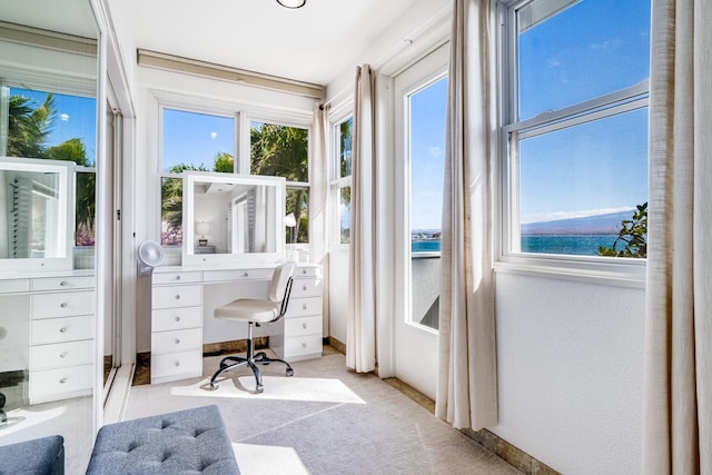 carpeted home office with a water view